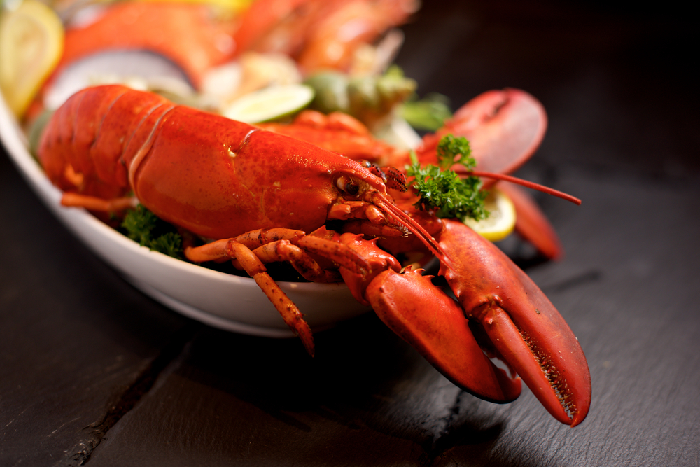 Seafood lobster platter with ice on slate